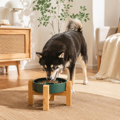 Ceramic Slow Feeder Dog Bowl - Elevated Maze Design, Heavy Weighted