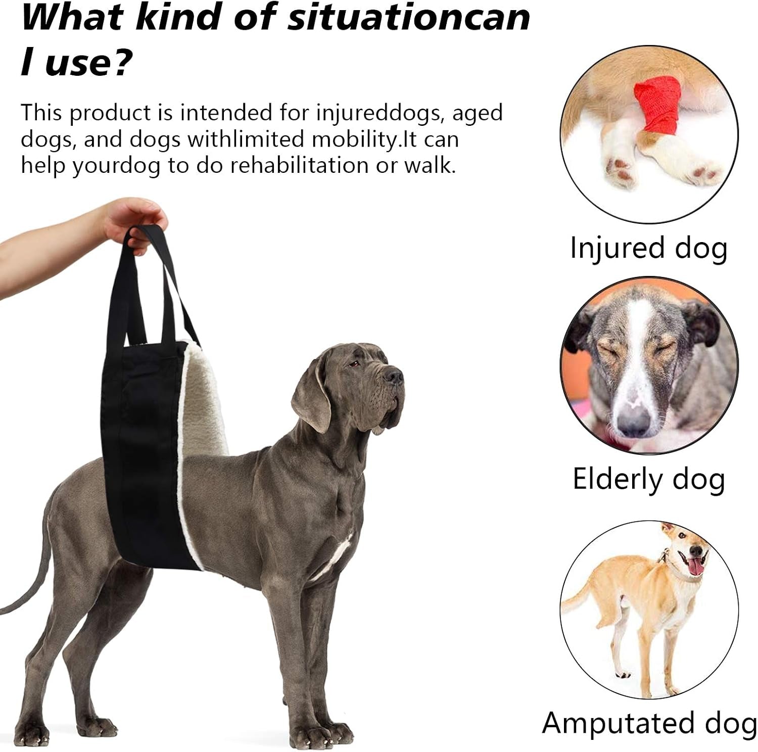 Dog Rear Lift Harness - Mobility Support Sling for Senior & Injured Dogs