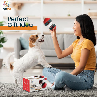 Interactive Treat Dispenser - Enrichment Puzzle Toy for Dogs