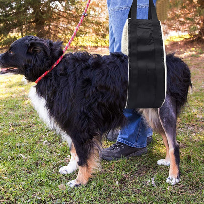Dog Rear Lift Harness - Mobility Support Sling for Senior & Injured Dogs