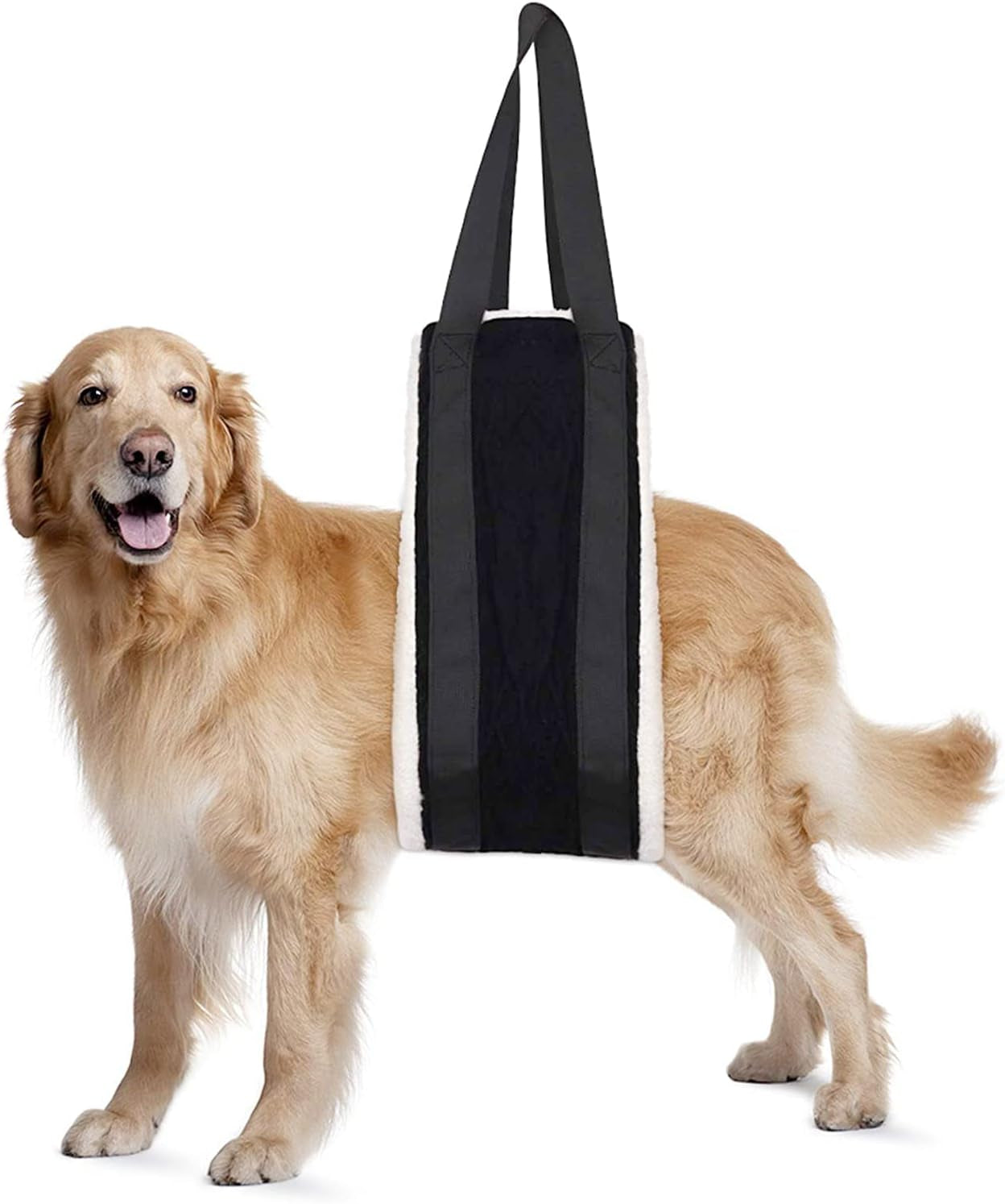 Dog Rear Lift Harness - Mobility Support Sling for Senior & Injured Dogs